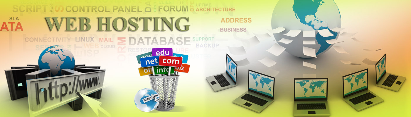 direct_selling_webhosting_infosoft